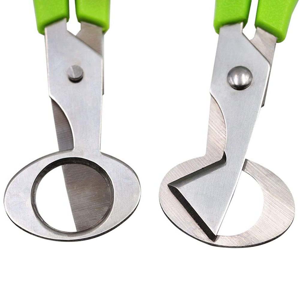 3 pezzi forbici per tagliare l - Kitchen Shears In Baking recensione e prezzo